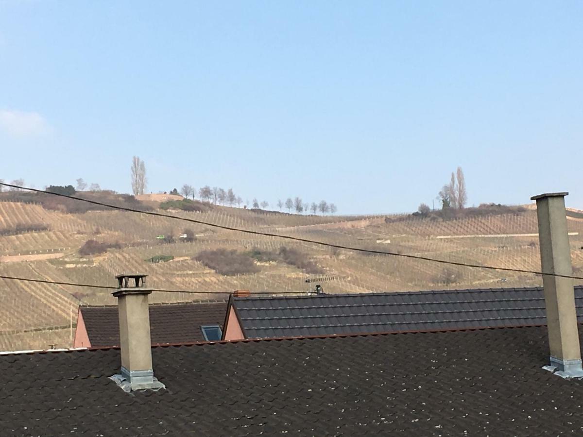 Gite Faubourg Des Pierres Sigolsheim Экстерьер фото