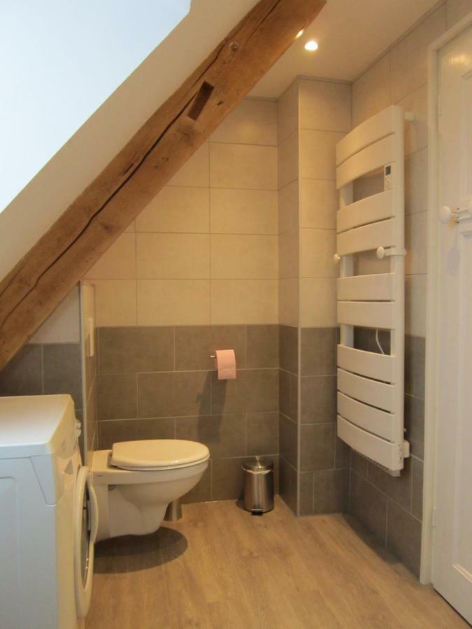 Gite Faubourg Des Pierres Sigolsheim Экстерьер фото